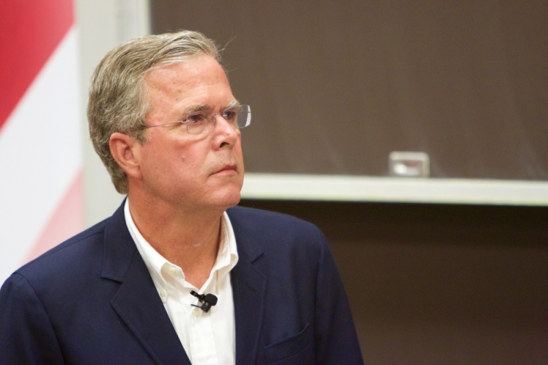 Jeb Bush