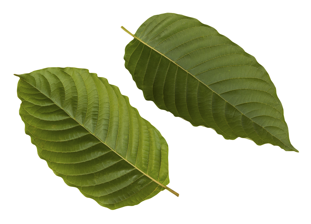 Kratom