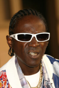 Flavor Flav Pleads No Contest In DUI Case, Dodges Jail Time