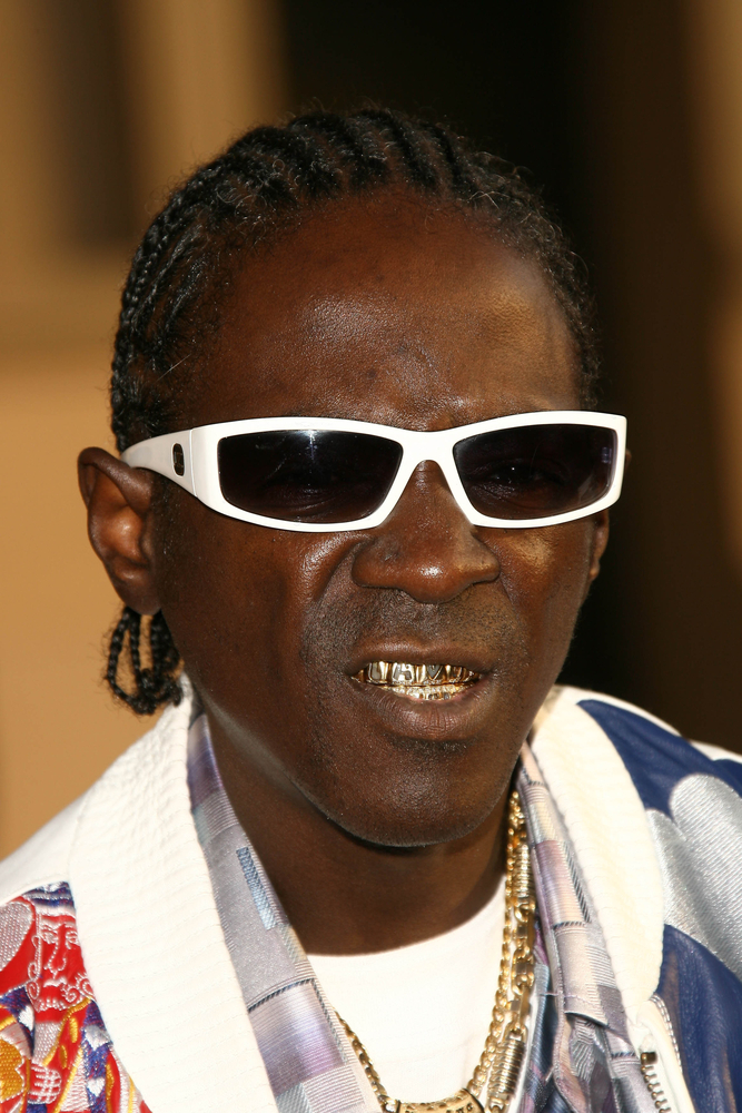 Flavor Flav Pleads No Contest In DUI Case, Dodges Jail Time