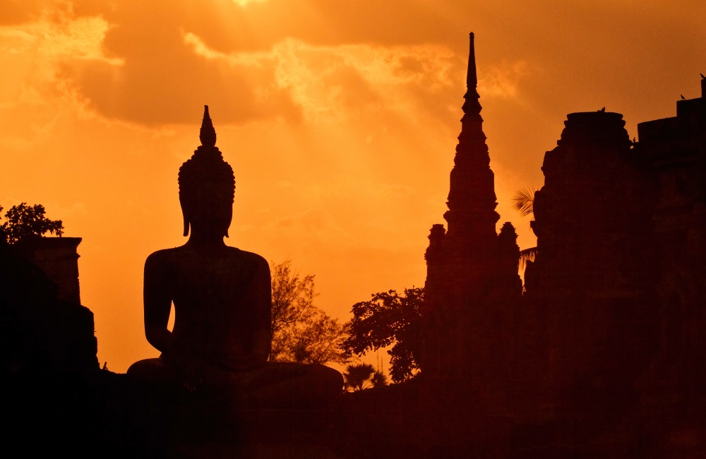 How I Accidentally Quit Drinking