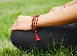 Healing the Mind Through the Wisdom of the Body