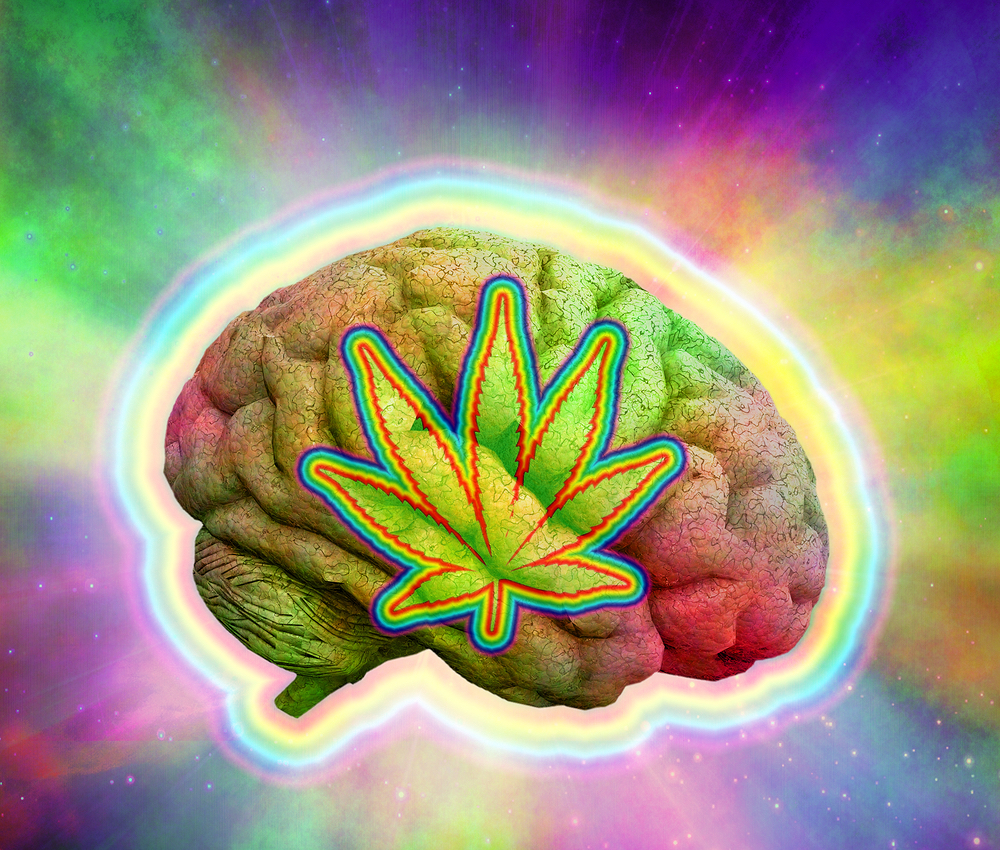 Man Combines Formaldehyde from Stolen Human Brain with Marijuana To Get High