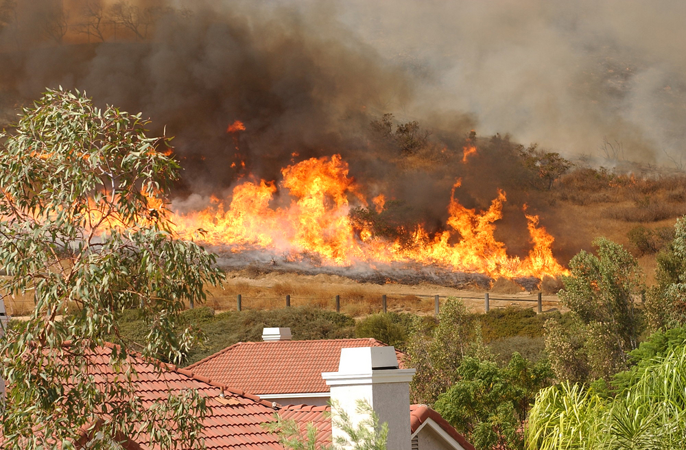 Illegal Pot Farm Sparked California's 2015 Rocky Wildfire, Officials Say