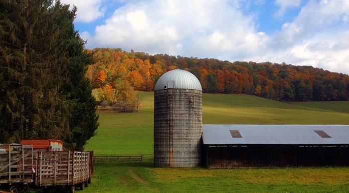 How My Son Got Sober