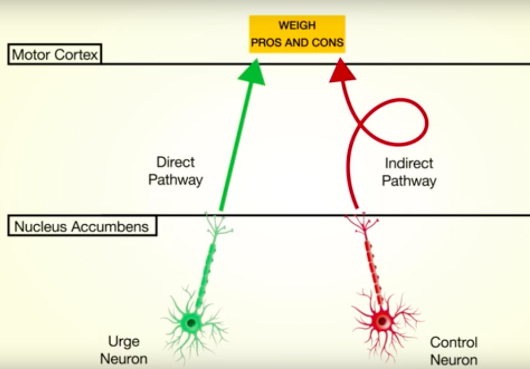 NIDA Short Illustrates 'Why People Lose Control Over Their Cocaine Use'