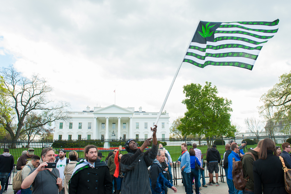 More Americans Than Ever Support Legalizing Marijuana, Poll Shows