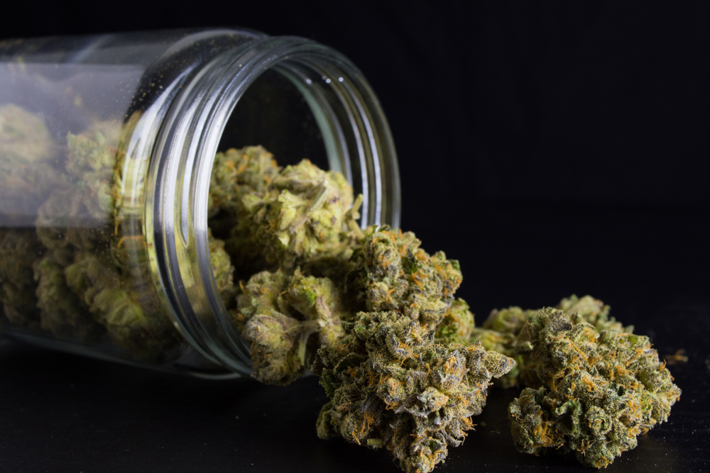 Marijuana Opponents Consider Recount in Maine