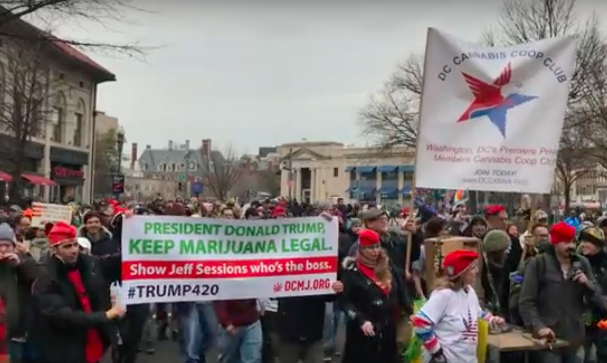 DC pro-marijuana protest on inauguration day.