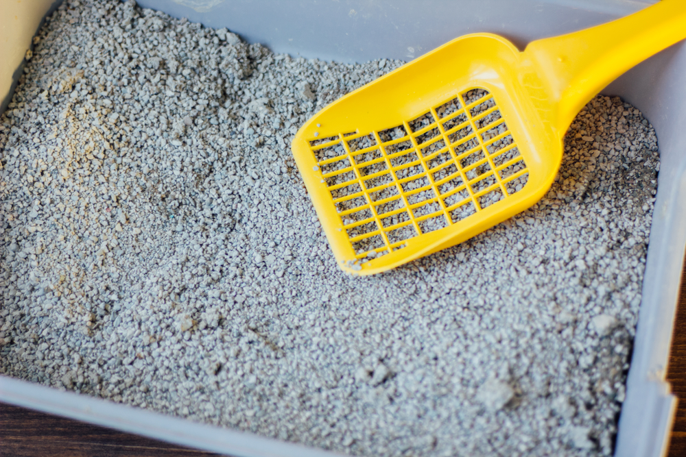 Kitty liter and a yellow scooper.