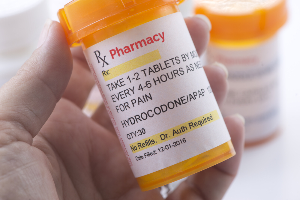 Hand holding a bottle of hydrocodone.