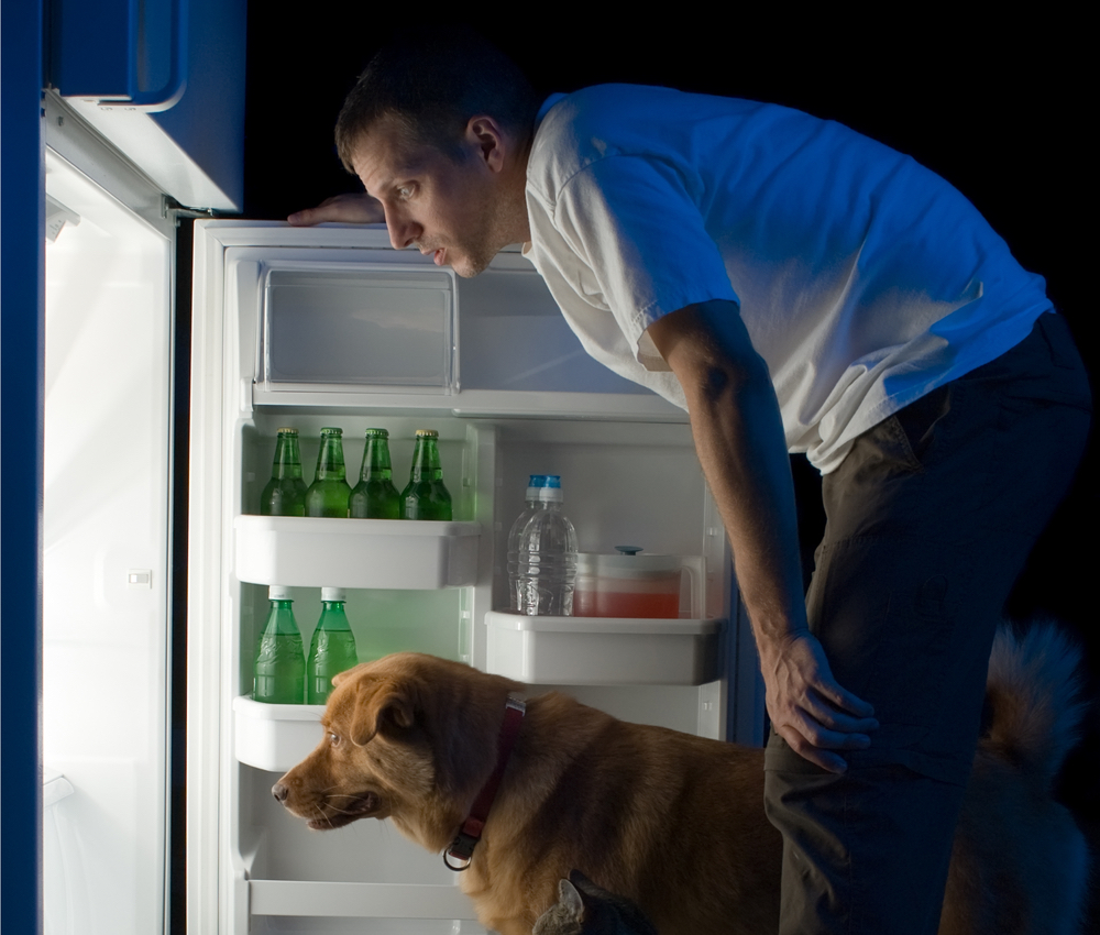 Ma and dog staring into an open refrigerator.