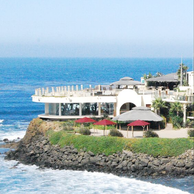 The Holistic Sanctuary