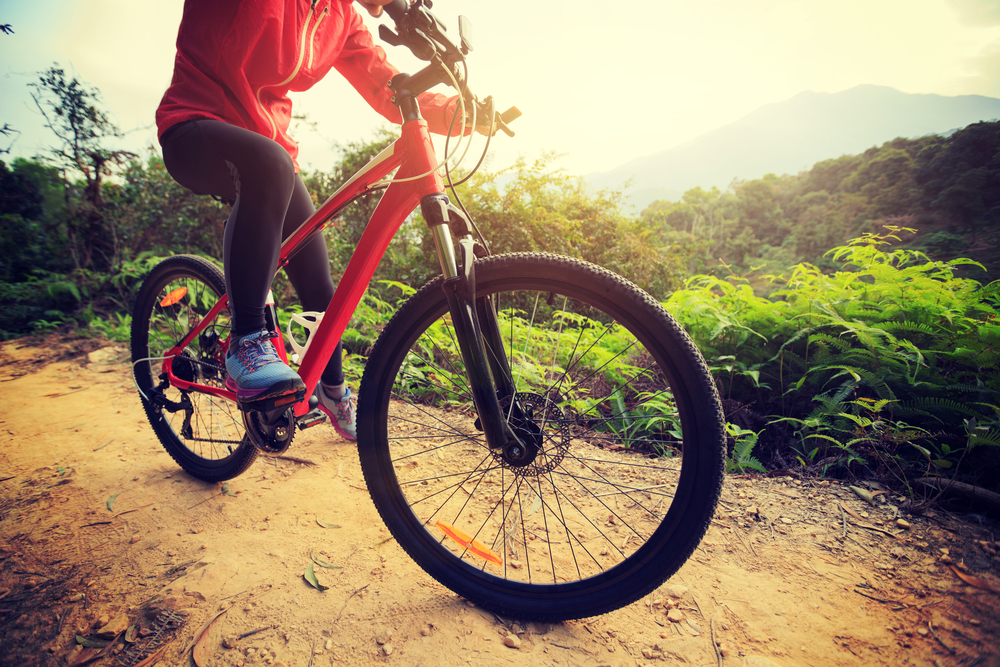 Person riding a bike on a forest trail.