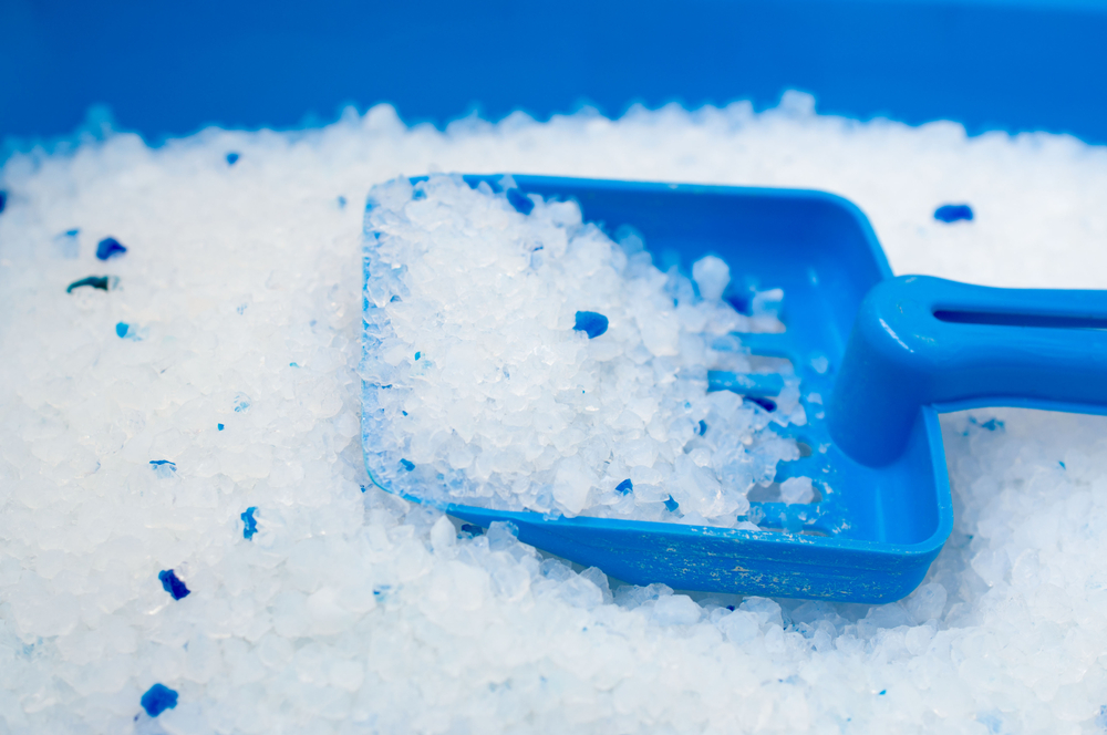 silica cat litter with blue scoop