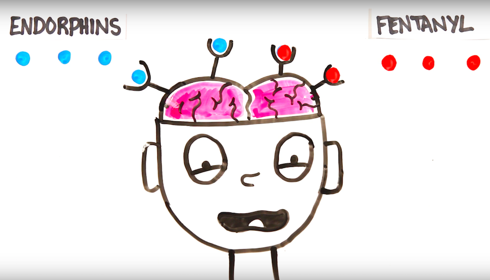 Still from "Your Brain On Fentanyl"