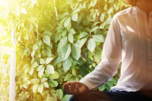 woman meditating next to a plant