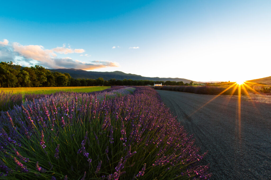 Circle of Trust Healing Center