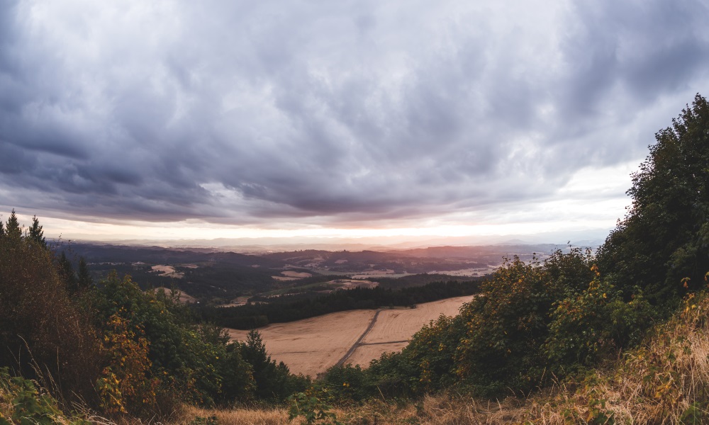 Hazelden Springbrook