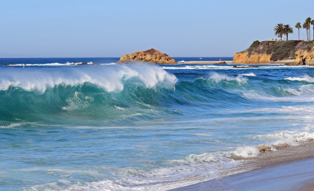 Lomonaco Palms Recovery