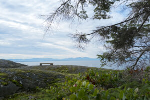 Orchard Recovery Center