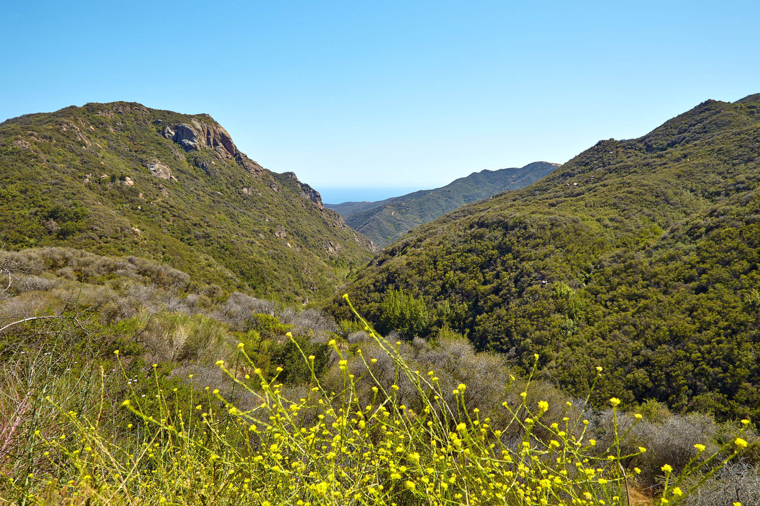 Prominence Treatment Center