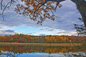 Rogers Behavioral Health: Herrington Recovery Center