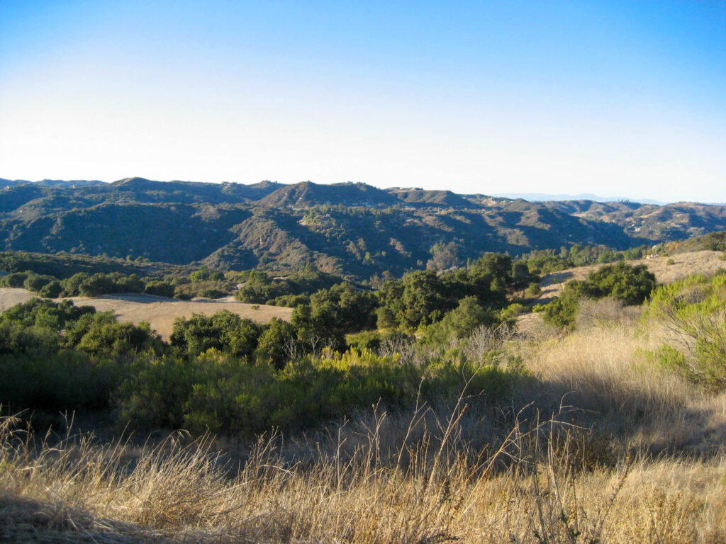 Sanctuary Treatment Center