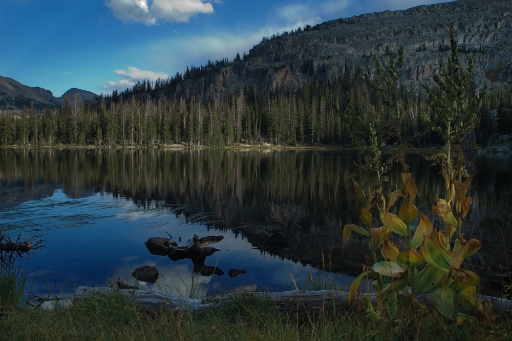 Spirit Mountain Recovery