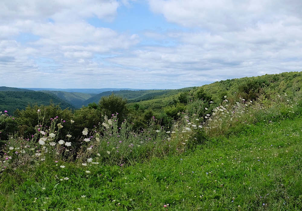 St. Joseph Institute for Addiction
