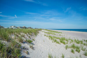 The Dunes of East Hampton