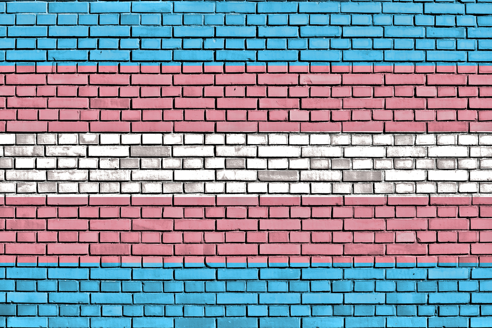 Transgender flag