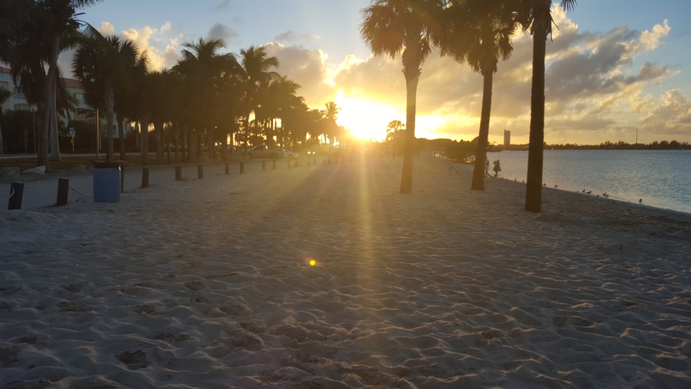 Ambrosia Port St. Lucie