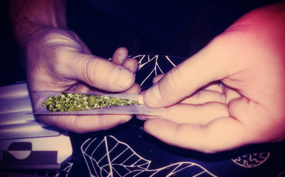 Close up on the hands of an adult Caucasian man rolling a marijuana joint.