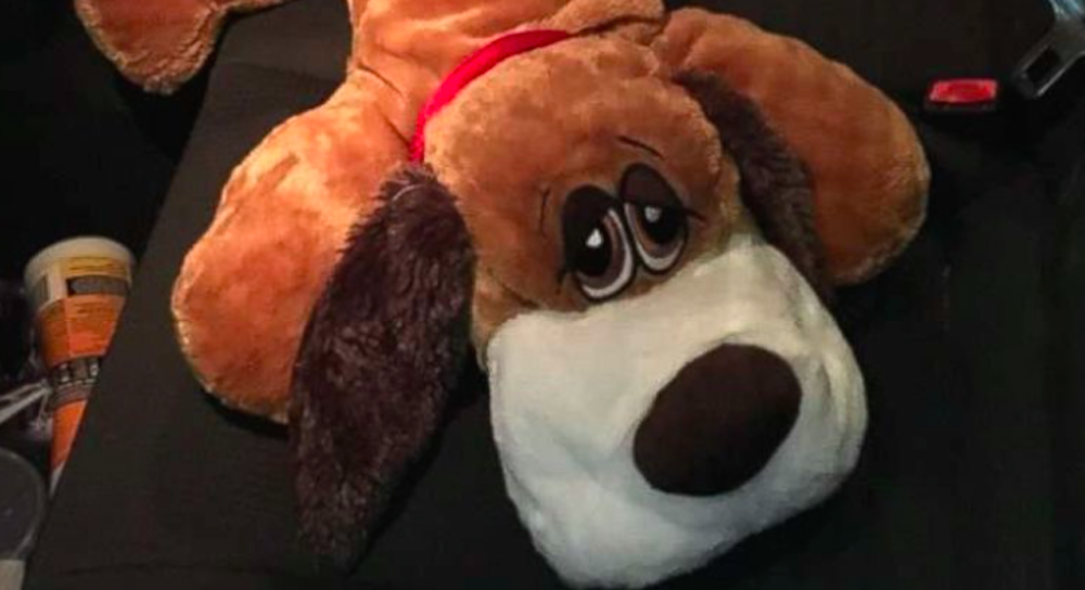 stuffed toy dog filled with meth