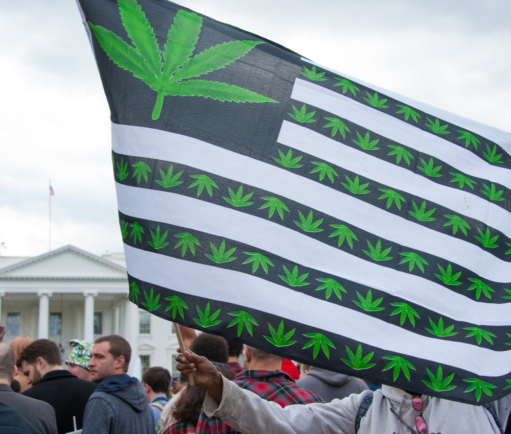 protestor waving a marijuana flag in front of the White House