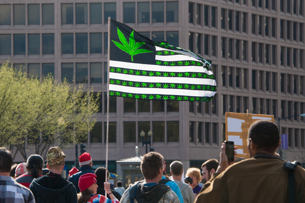 marijuana flag in the middle of a pro-marijuana demonstration