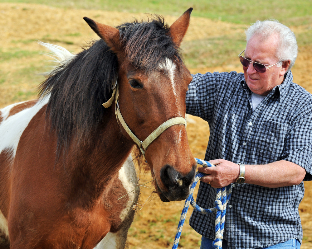 older man and his horse