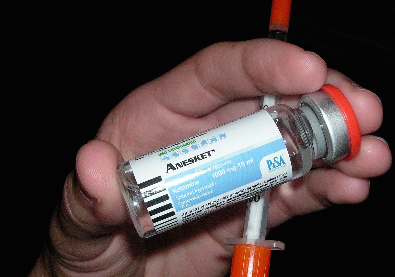 A hand holding a vial of ketamine.