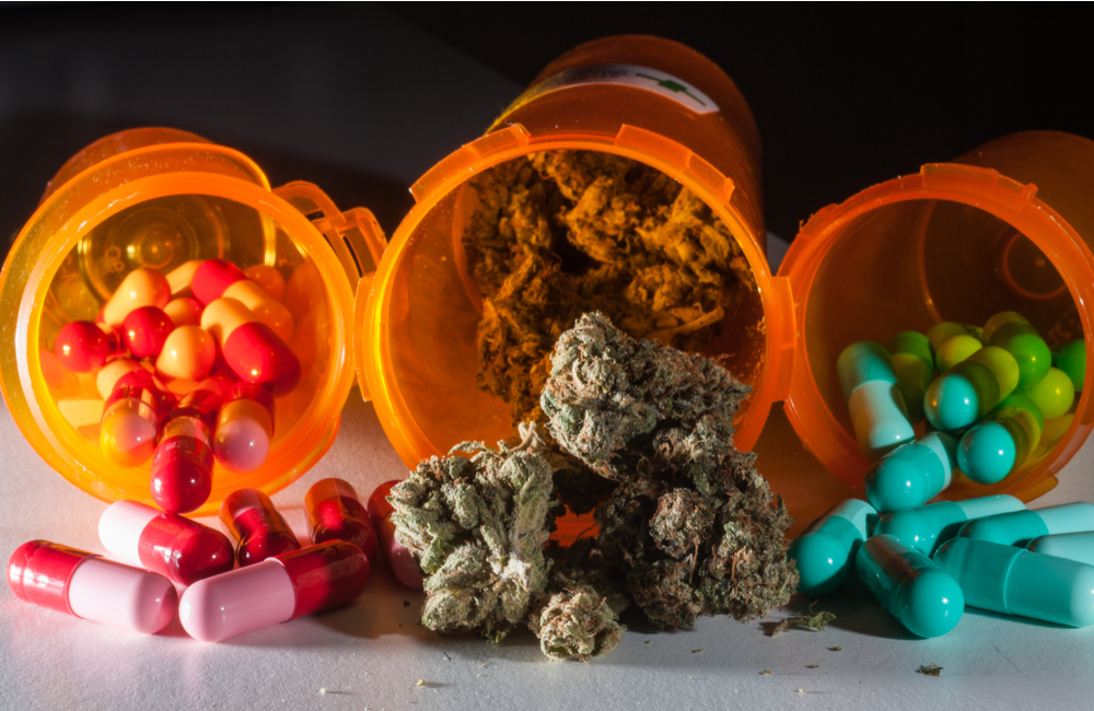 cannabis vs opioids