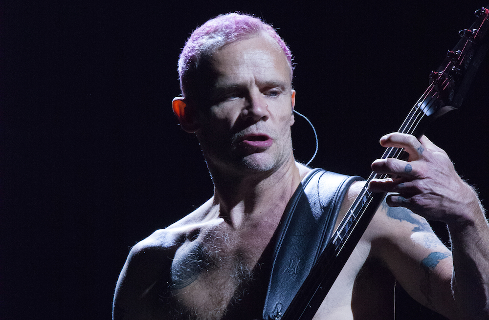 flea