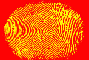 fingerprint