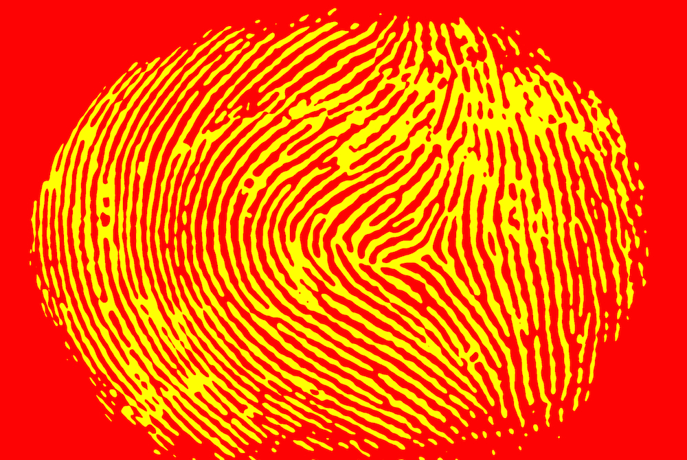 fingerprint
