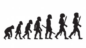 illustration of the evolution from primate to man