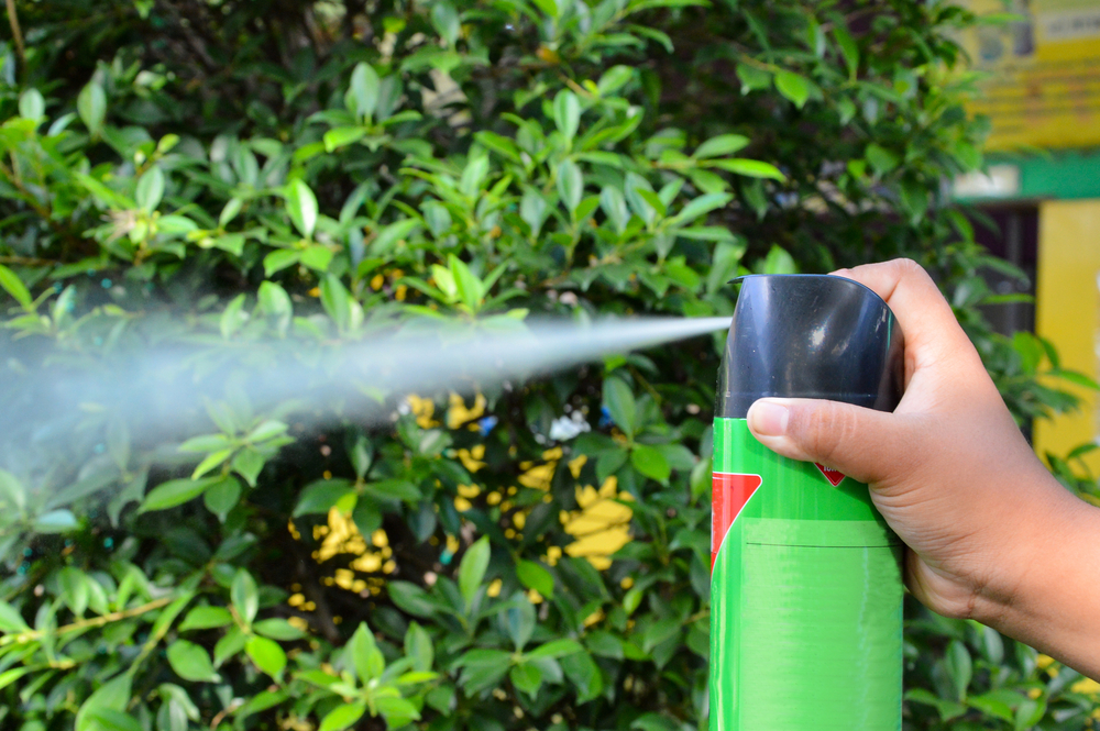 person spraying insecticide in the garden