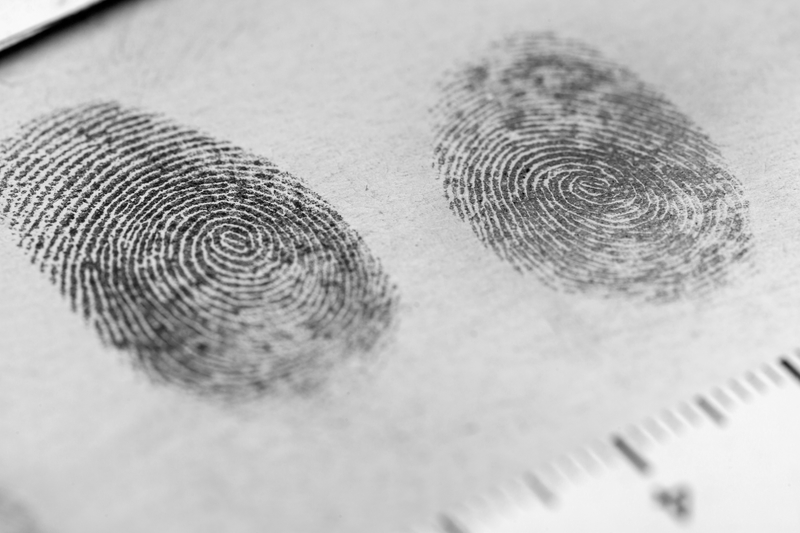 View of a fingerprint revealed by printing.