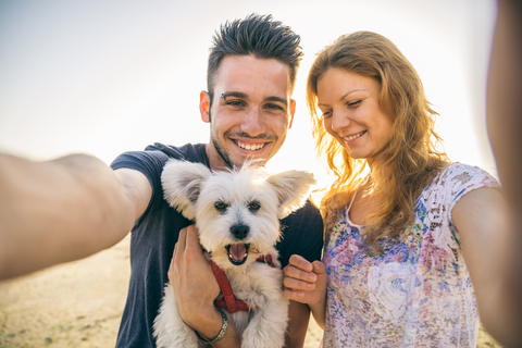 Happy couple and dog taking selfie