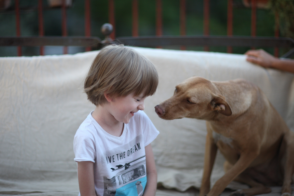 a child and a dog sitting on a terrace