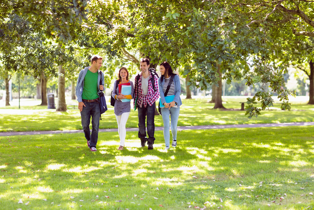 group of college students walking to campus