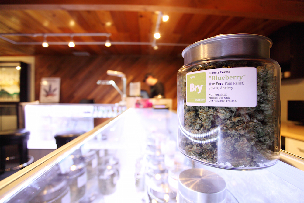 Medical marijuana in a large jar at a legal marijuana dispensary.